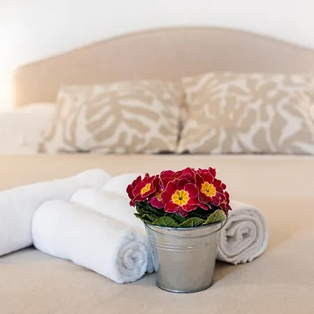 Machiavelli Penthouse * Florencia